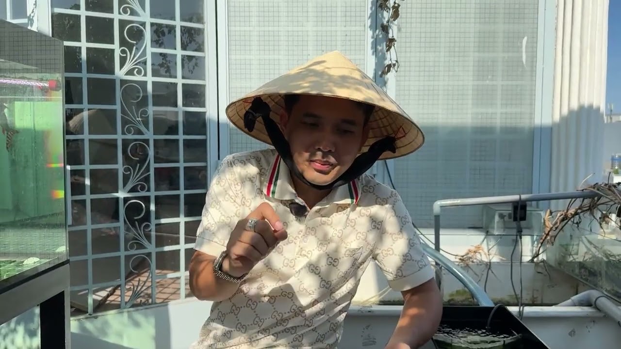 Giải pháp dọn dẹp khi pom c.á