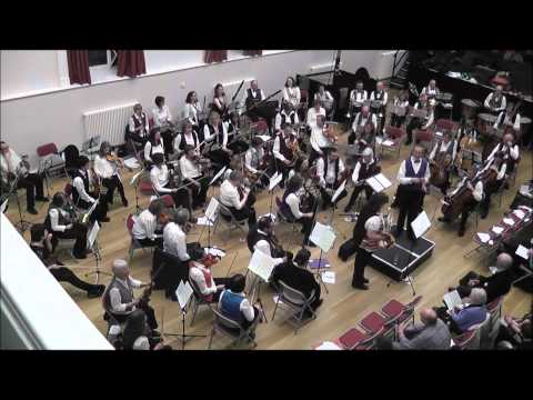 Cobweb Orchestra Pyburn Horn Concerto about the pi...