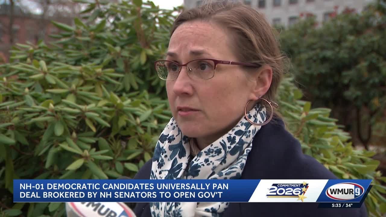 NH-01 Democratic candidates universally pan deal brokered by New Hampshire Senators to open gover...
