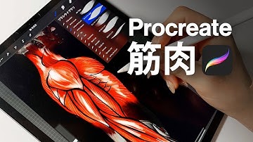 【 Procreateイラスト 】5分で描ける筋肉！！