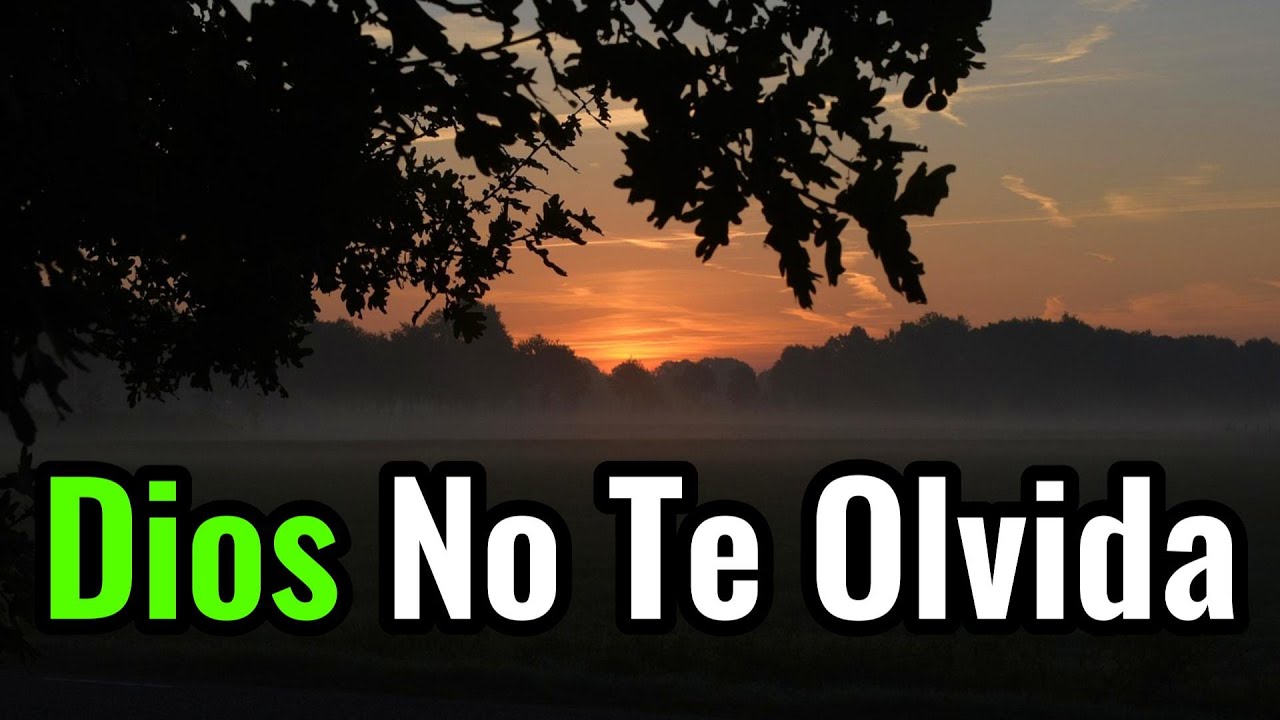 DIOS No Se Ha Olvidado De Ti | Oración, Reflexión, Gratitud - YouTube