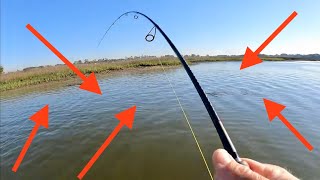 this flat had so many REDFISH on it!! by LowCountryFishing 4,875 views 1 year ago 12 minutes, 9 seconds