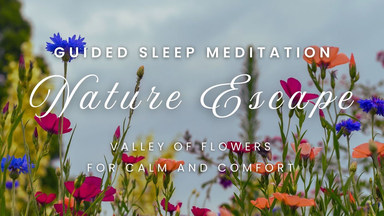 FLOWER VALLEY 12-minute Sleep Meditation | Nature Escape for Calm and Comfort | EmityZen