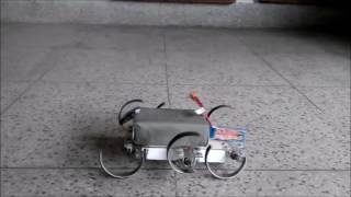 Beetle Bot (Hexapedal Robot)