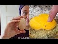 The Double-Yolker: One Chicken Egg, Two Yolks