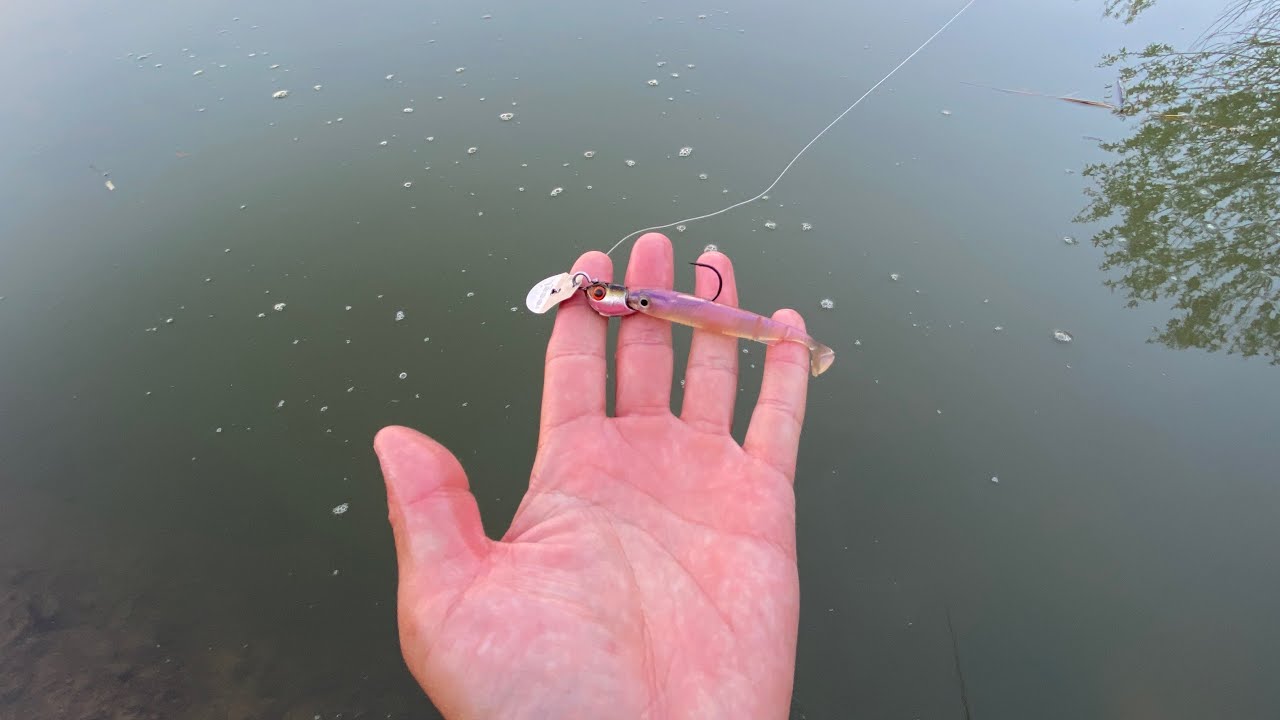 This lure is seriously the best under certain conditions. - YouTube