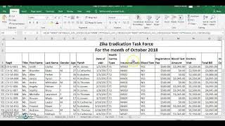 Explaining the Spreadsheet aspect of the Zika Virus IT SBA screenshot 1