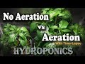 Aeration vs no aeration  hydroponic peppers wtime lapse brinno semidwc vs kratky