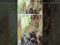 مسیرهای زیرزمینی کشف‌شده در منطقه امنیتی در جنوب لبنان