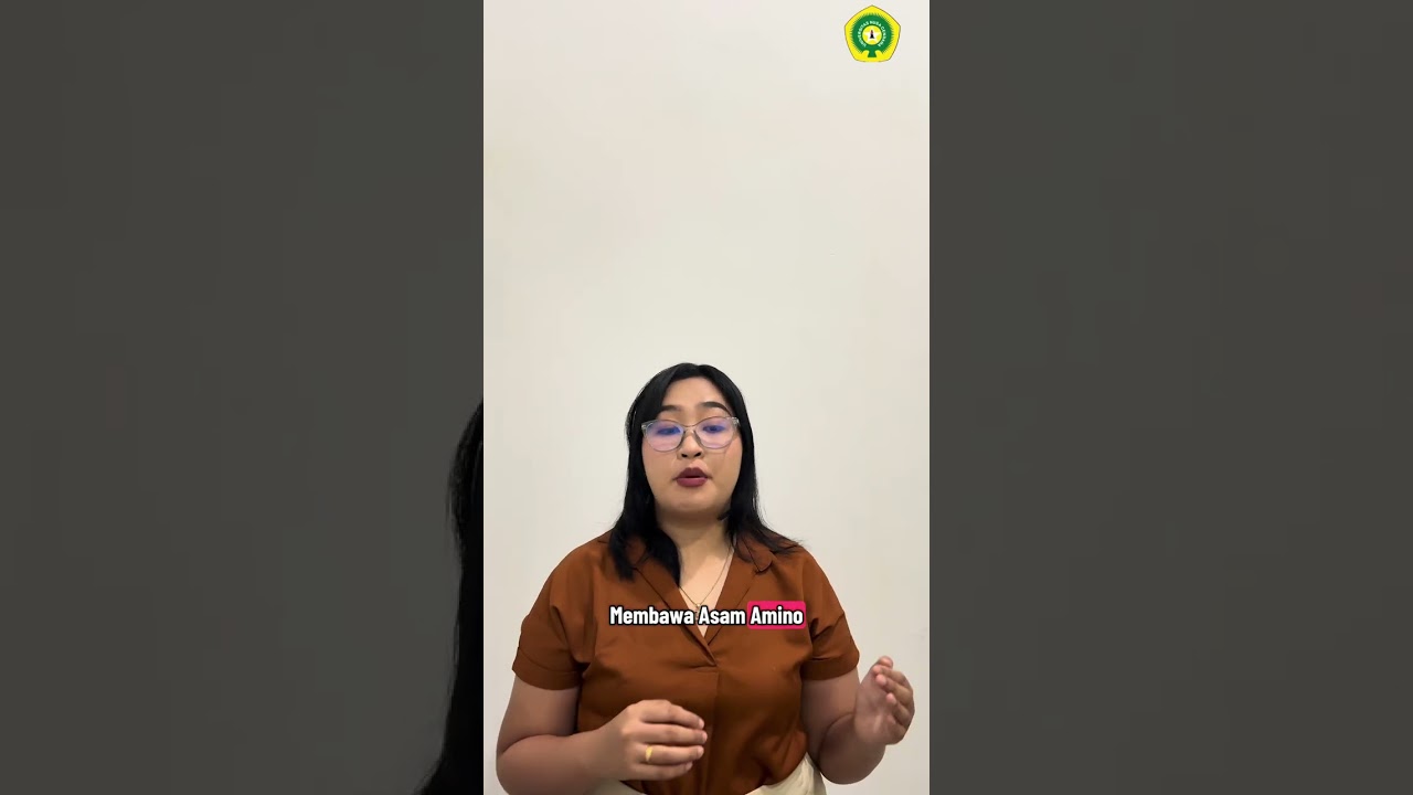 DNA & RNA | Transkripsi, Translasi, Replikasi, dan Mutasi DNA 