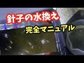 針子〜幼魚の水換え方をマスターしよう！【メダカ】