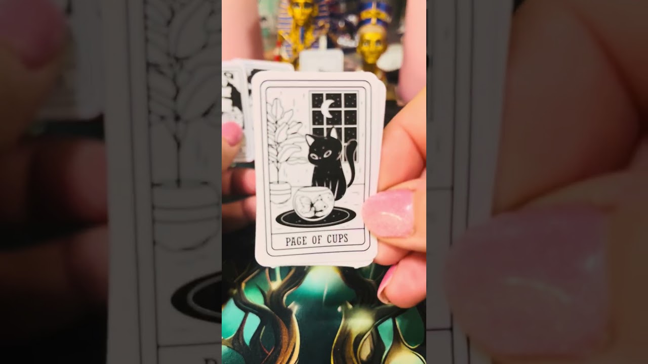 Várod az új esèlyt? Vajon ő mit szeretne? 💁🏻‍♀️🙈🙏