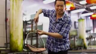 Catch of the Day at Summer Palace