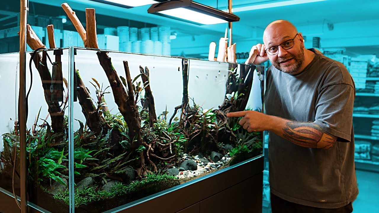 300 Liter NATURE AQUARIUM | ADA 120-P Cube Garden