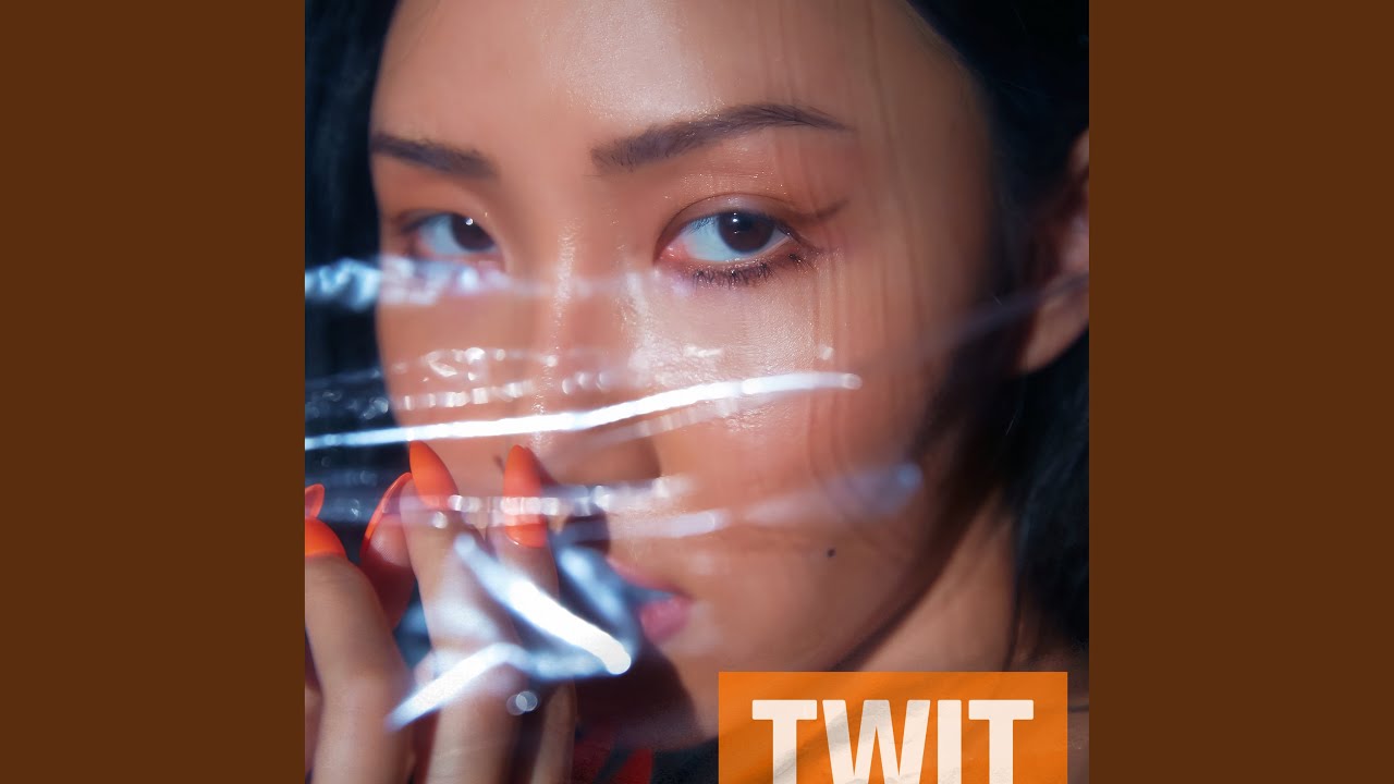 TWIT (Instrumental) (멍청이(twit) (Instrumental))