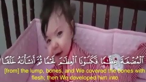 قرآن كريم بصوت وديع اليمني ⚡💌 أجمل حالات واتس اب دينية مقاطع دينية قصيرة مقاطع انستقرام دينية