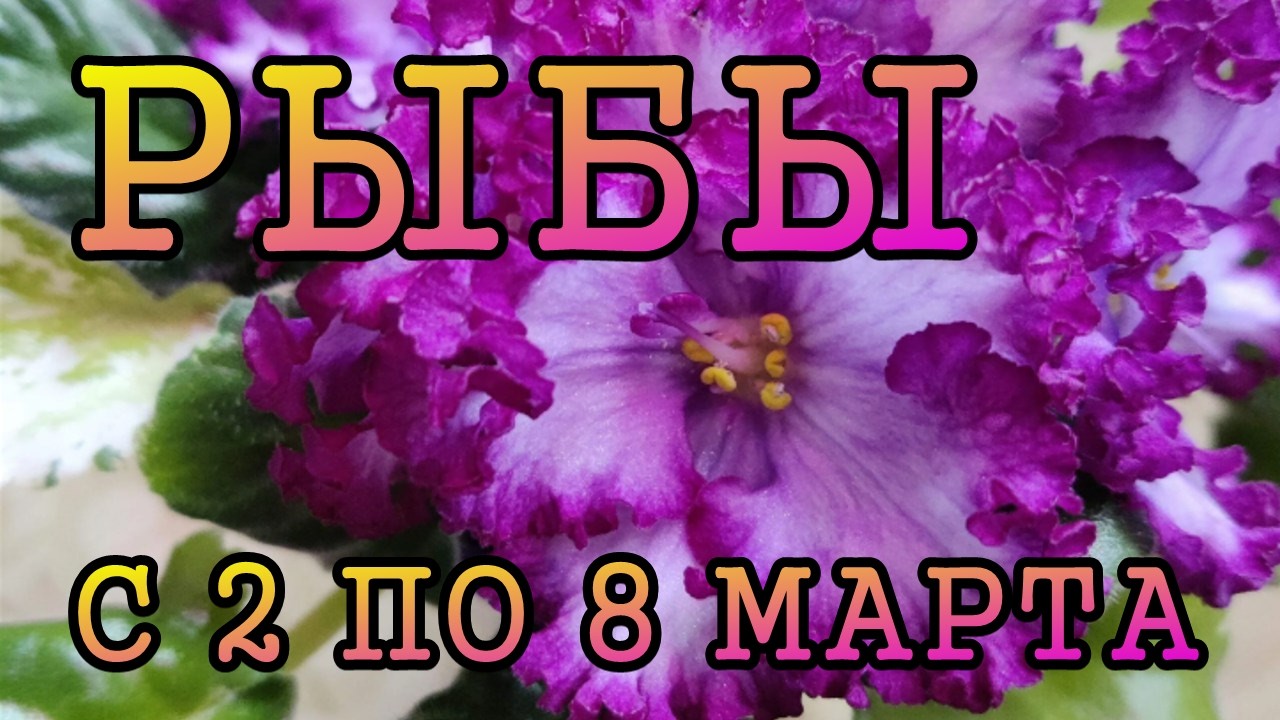 РЫБЫ таро прогноз на неделю с 2 по 8 МАРТА 2026 год