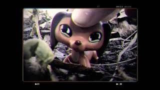 Lps mep part 1