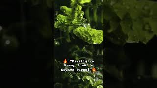 ⏳ İnsanın Kendini Unuttuğu Gün – Kıyame Suresi#kıyametalametleri #kuranayeti #keşfet #kelimeitevhid