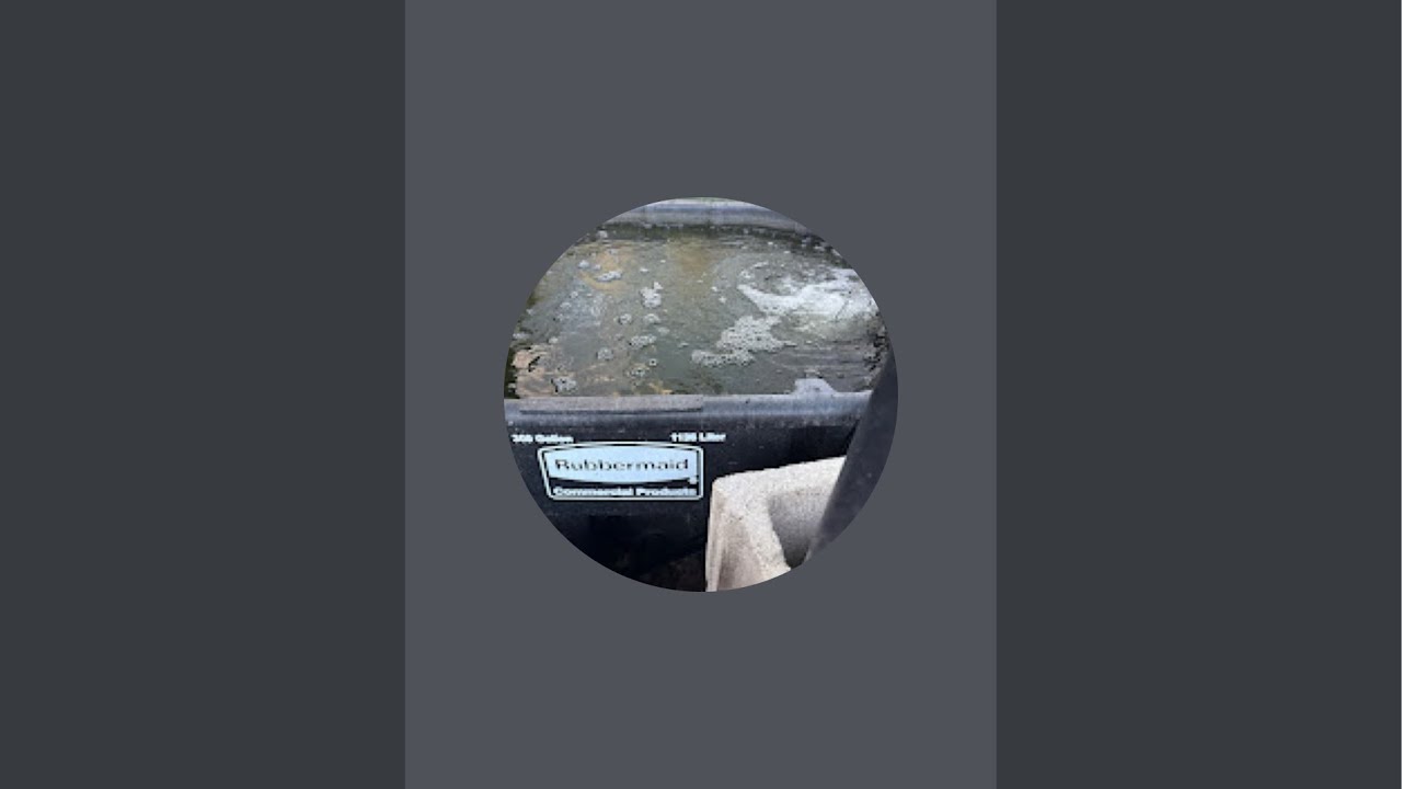 Political violence must stop!