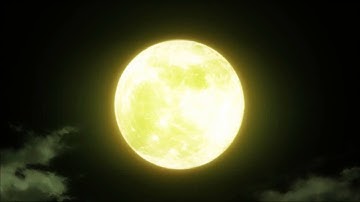 Bird and the worm MEP part 9