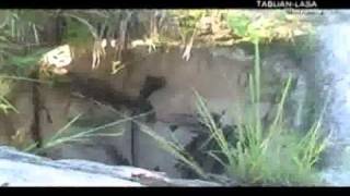 Tabuan-lasa part1.flv