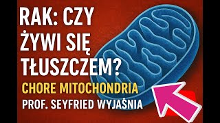 Download Lagu Rak - czy żywi się tłuszczem🔬⚠️? Chore mitochondria i dieta keto w raku - prof. Seyfried wyjaśnia MP3 Download Lagu Rak - czy żywi się tłuszczem🔬⚠️? Chore mitochondria i dieta keto w raku - prof. Seyfried wyjaśnia MP3