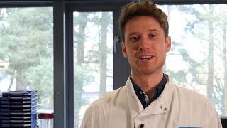 How Ifa Testing Works - Biobest Laboratories