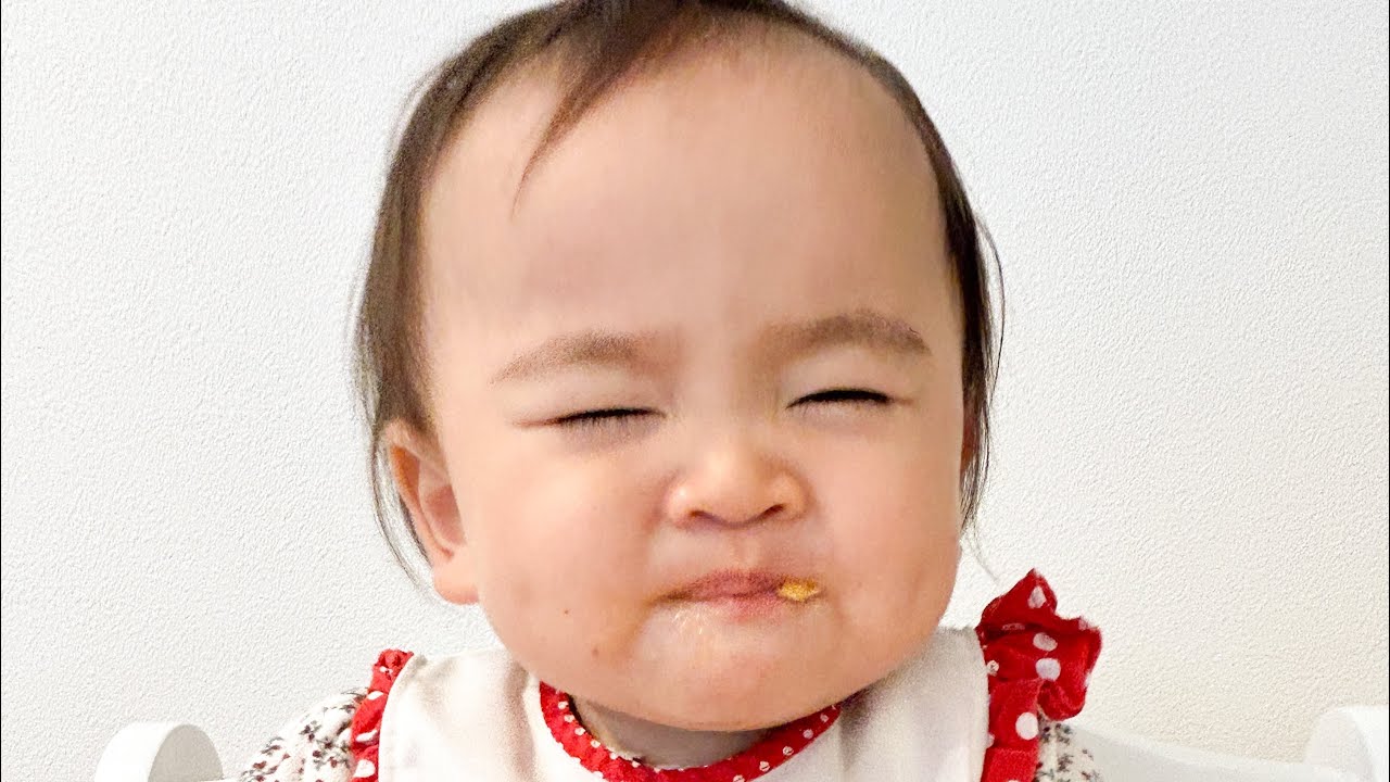 1歳2ヶ月ラストデー!1歳3ヶ月もよろしくお願いします🙇♀️ YouTube 1歳2ヶ月ラストデー!1歳3ヶ月もよろしくお願いします🙇♀️ YouTube