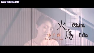 [Vietsub] 火鳥 Chim Lửa - Dương Thiên Hoa 楊千嬅 Miriam Yeung