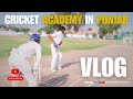 Cricket academy in punjab   mohanty cricket academy   2024  crichitss