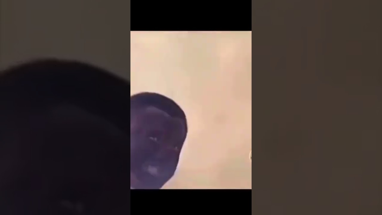 Gloves explode 😂😂 - YouTube