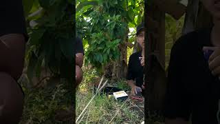 Download Mp3 semakin mengenal Alam semakin paham mengapa Tuhan begitu baik pada semua ciptaan Nya Gudang lagu Download Mp3 semakin mengenal Alam semakin paham mengapa Tuhan begitu baik pada semua ciptaan Nya
