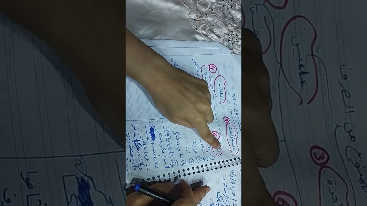 باقي تريكات الممنوع من الصرف تالتة إعدادي 