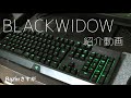 Razer Blackwidow JP Green Switch の紹介動画