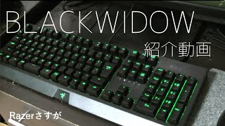 Razer Blackwidow JP Green Switch の紹介動画
