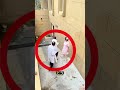 🏃患者がスパイダーマンに変身して注射を回避！💉🕷️😂 #shorts