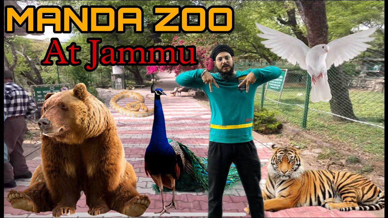 MANDA ZOO AT JAMMU (FIRST VISIT OF SIRAT ) RAINY TIME 🌧️🌧️ YouTube