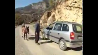 Eşşekli Komik Halı Reklamı