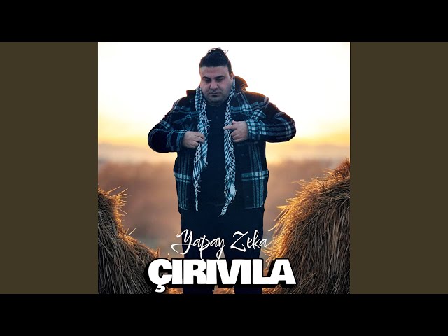 Çirivila Yapay Meji