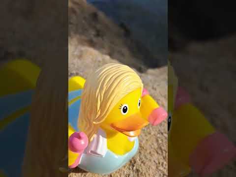 Baby duck 😀 Quack