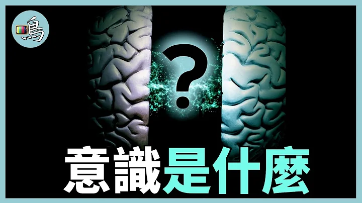 意识怎样产生，它被困在大脑里吗？最新科学研究颠覆认知 l What is consciousness？ - 天天要闻