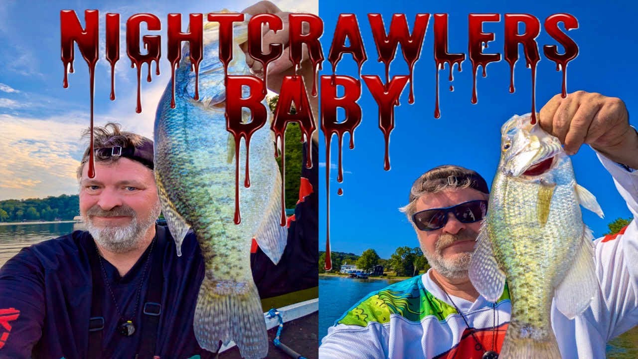 Can't Catch Crappie During the Summer? Try Nightcrawlers to Lure