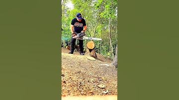 #treefall #stihl #powertools #chainsaws #diy #g660 #holzfforma