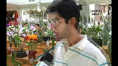 Qual o tempo de vida de uma orquídea?