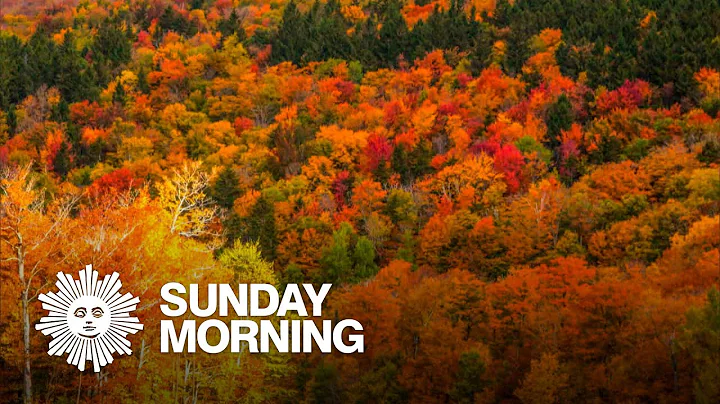 A colorful guide to New England's autumn leaves