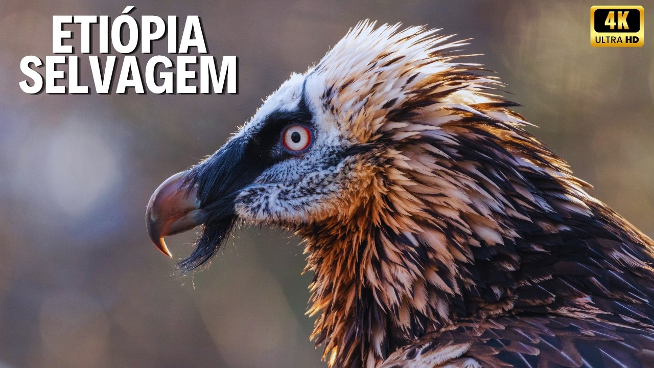 ETIÓPIA EXTREMA | Criaturas Raras do Chifre da África – Documentário