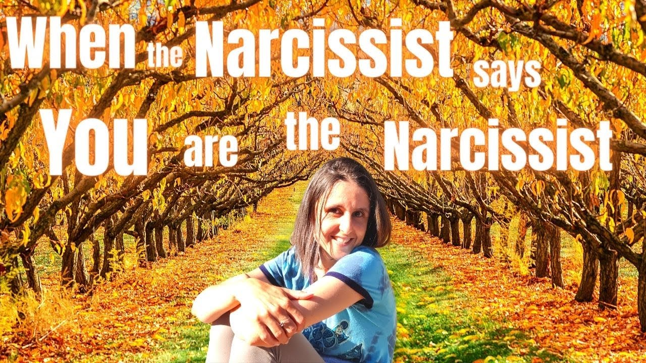 The Fawn Response - When The Narcissist Says You Are The Narcissist | # ...