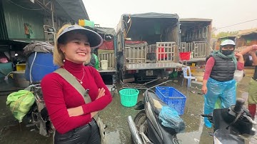 Tết Hà Nội - Cá chép cúng ông công ông táo chợ đầu mối bạt ngàn giá rẻ