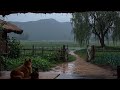 Enjoy rain sounds and Have a good night ♥♥♥